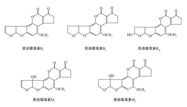 价值赢得未来 2019首届新能源汽车资本论坛召开【开云体育】(图1) 开云体育