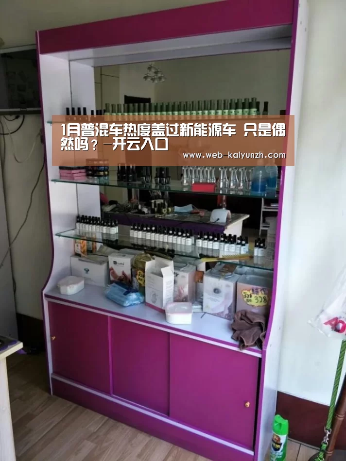 1月普混车热度盖过新能源车 只是偶然吗?-开云入口(图4) KAIYUN官网