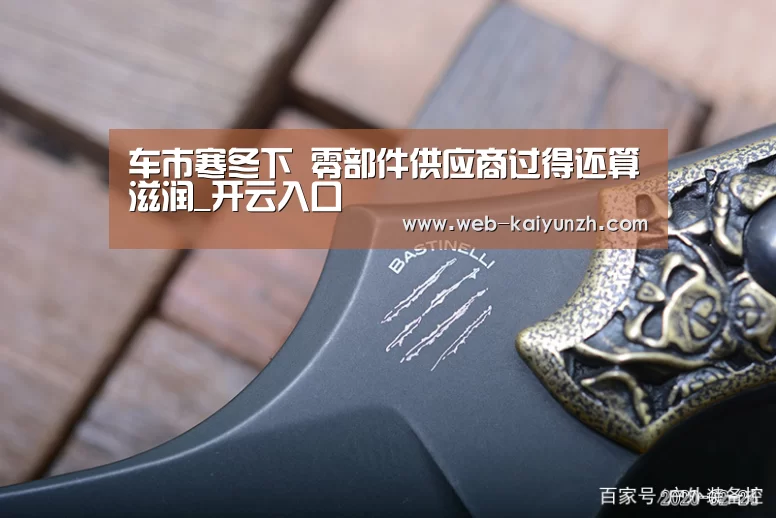 车市寒冬下 零部件供应商过得还算滋润_开云入口(图1) 开云体育