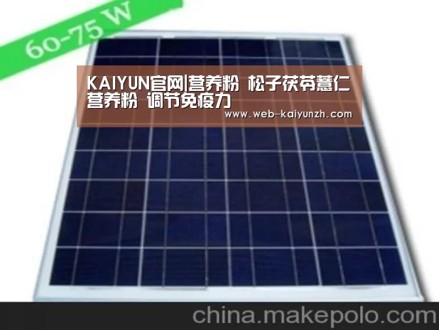 KAIYUN官网|营养粉 松子茯苓薏仁营养粉 调节免疫力(图1) KAIYUN官网