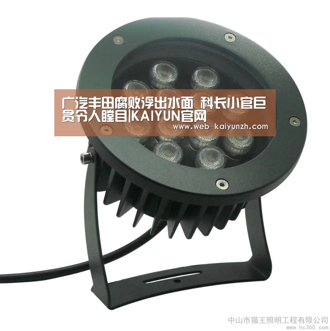 广汽丰田腐败浮出水面 科长小官巨贪令人瞠目|KAIYUN官网(图1) 开云体育