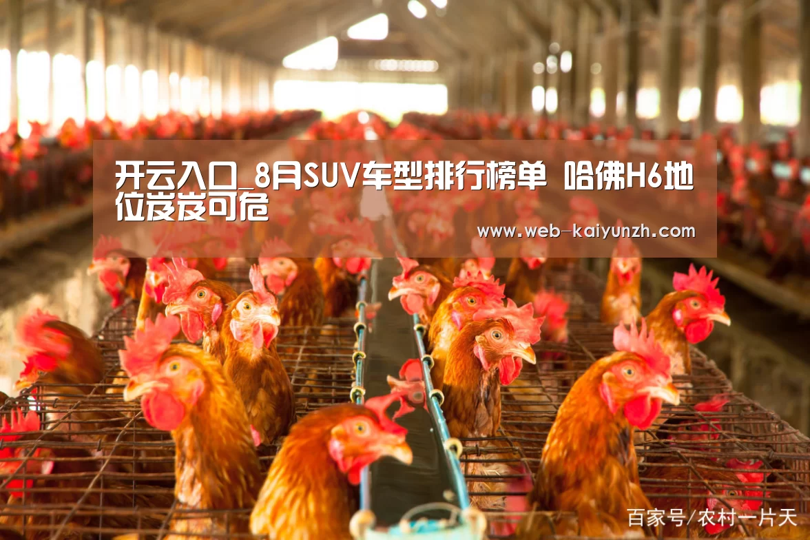开云入口