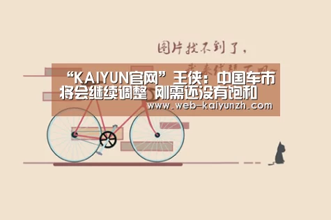 “KAIYUN官网”王侠:中国车市将会继续调整 刚需还没有饱和(图4) 开云体育