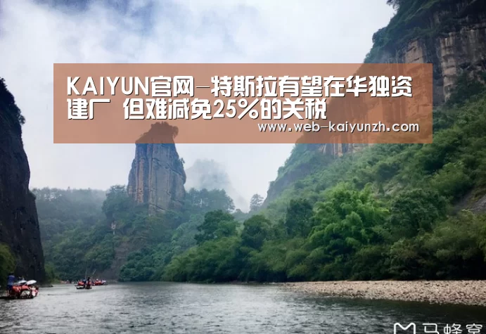 KAIYUN官网-特斯拉有望在华独资建厂 但难减免25%的关税(图4) 开云入口
