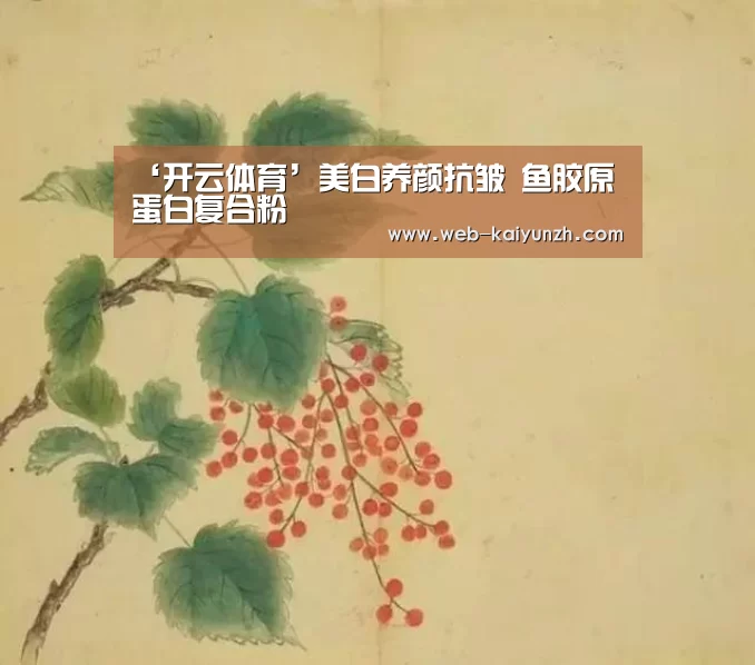 ‘开云体育’美白养颜抗皱 鱼胶原蛋白复合粉(图2) KAIYUN官网