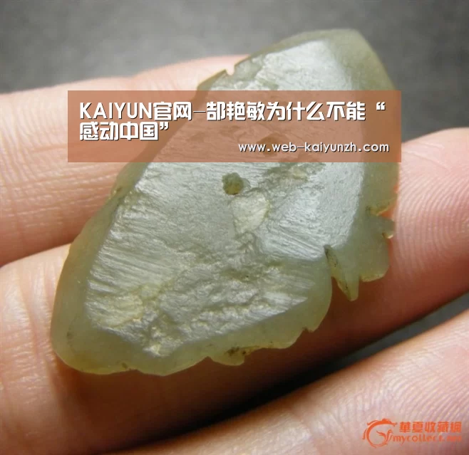 KAIYUN官网-郜艳敏为什么不能“感动中国”(图2) KAIYUN官网