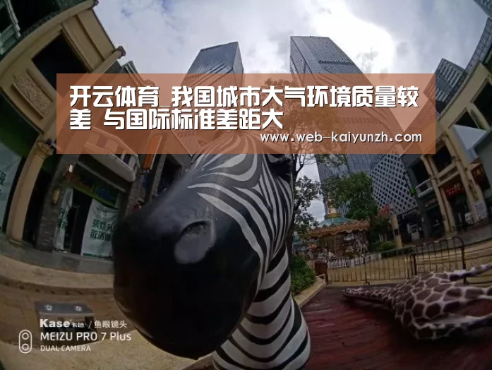 开云体育_我国城市大气环境质量较差 与国际标准差距大(图2) 开云体育