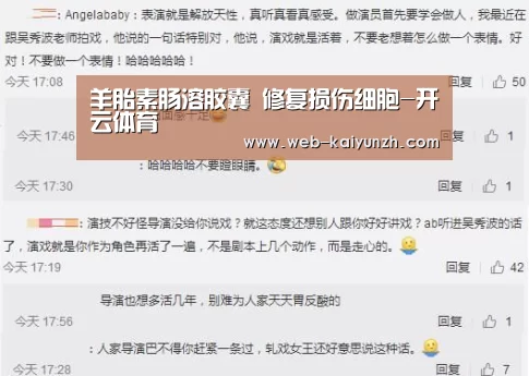 羊胎素肠溶胶囊 修复损伤细胞-开云体育(图1) 开云入口