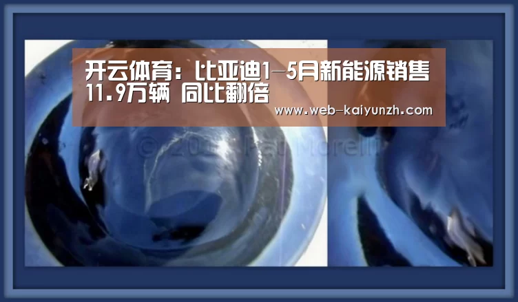 开云体育