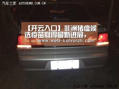 【开云入口】非洲猪瘟候选疫苗取得最新进展,该进展有何重大意义?(图4) 开云入口