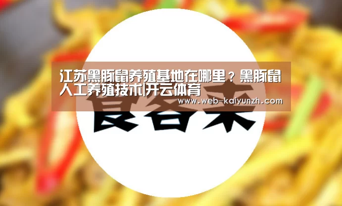 江苏黑豚鼠养殖基地在哪里?黑豚鼠人工养殖技术|开云体育(图1) 开云体育