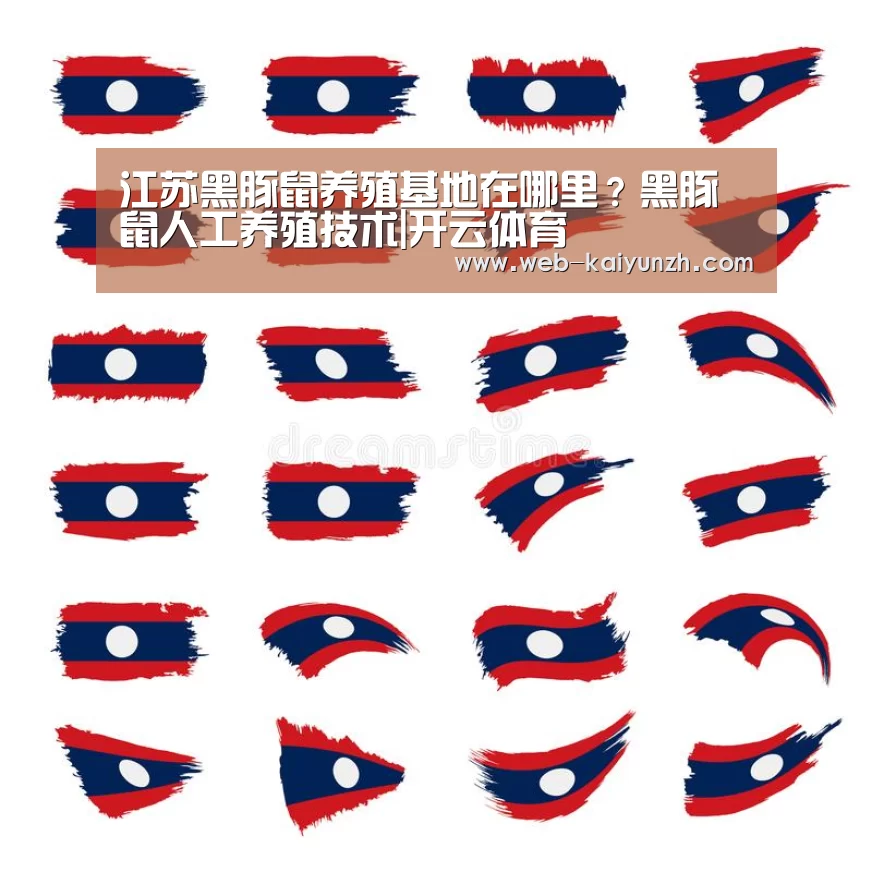 江苏黑豚鼠养殖基地在哪里?黑豚鼠人工养殖技术|开云体育(图4) 开云入口