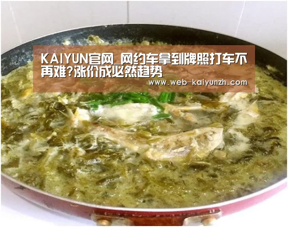 KAIYUN官网_网约车拿到牌照打车不再难?涨价成必然趋势(图1) 开云体育