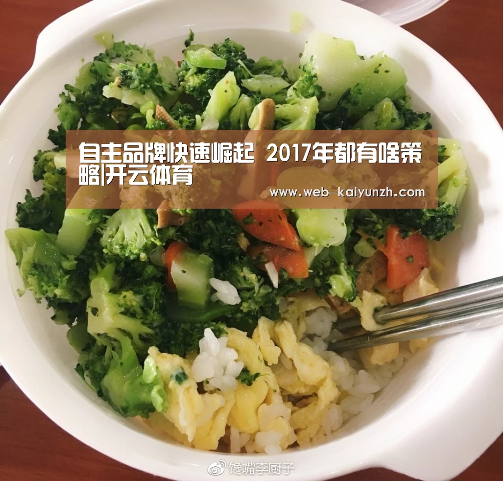 自主品牌快速崛起 2017年都有啥策略|开云体育(图1) 开云入口