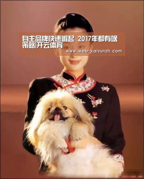 自主品牌快速崛起 2017年都有啥策略|开云体育(图4) KAIYUN官网