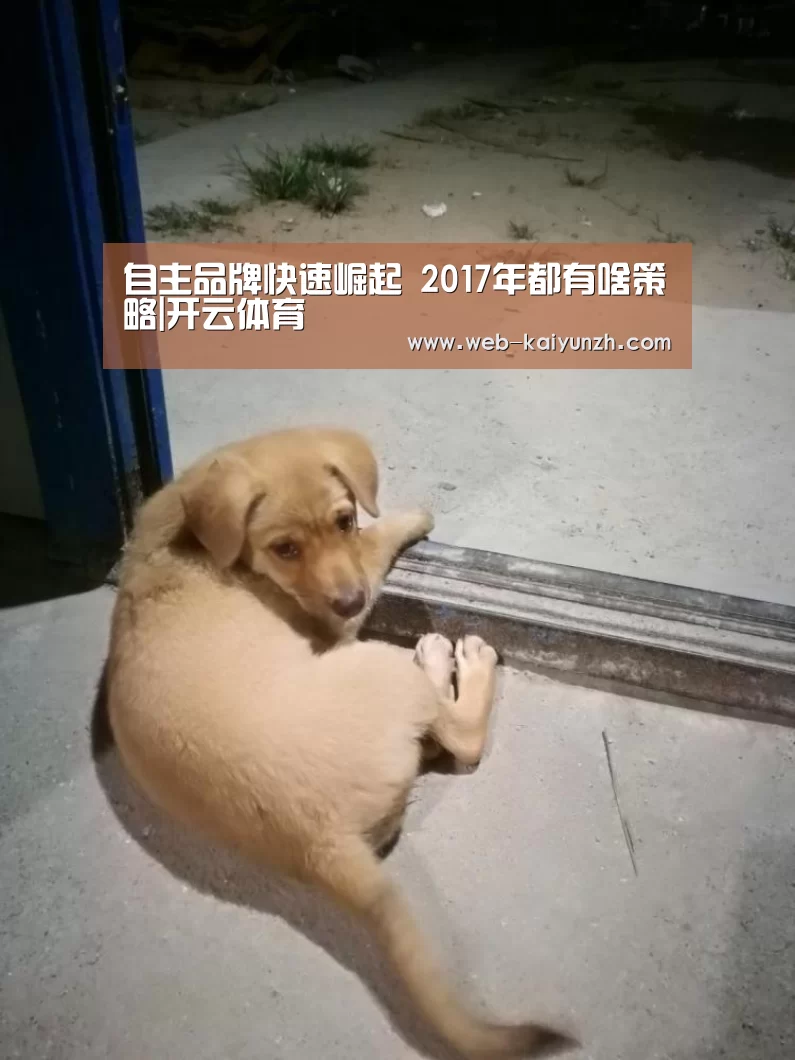 自主品牌快速崛起 2017年都有啥策略|开云体育(图2) KAIYUN官网