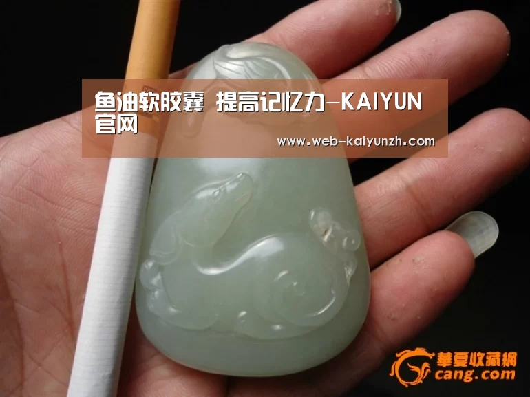 开云体育